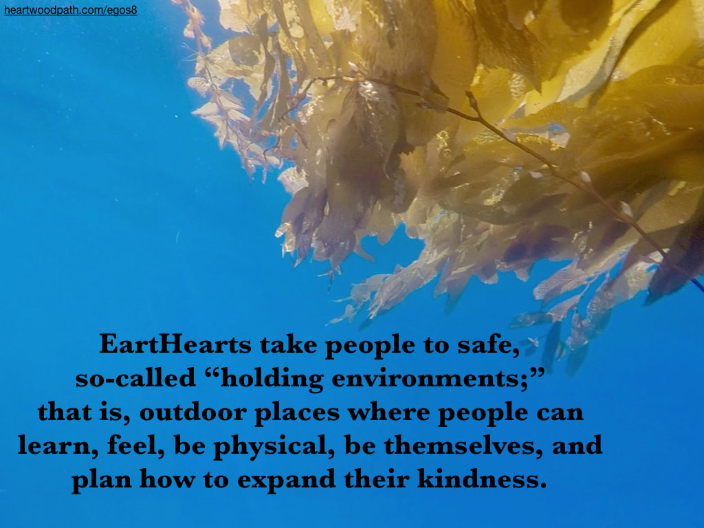 Picture kelp with quote EartHearts take people to safe, so-called “holding environments;” that is, outdoor places where people can learn, feel, be physical, be themselves, and plan how to expand their kindness