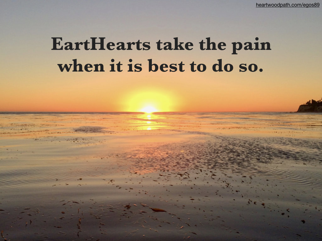 Picture yellow sunset over kelp forest quote EartHearts take the pain when it is best to do so