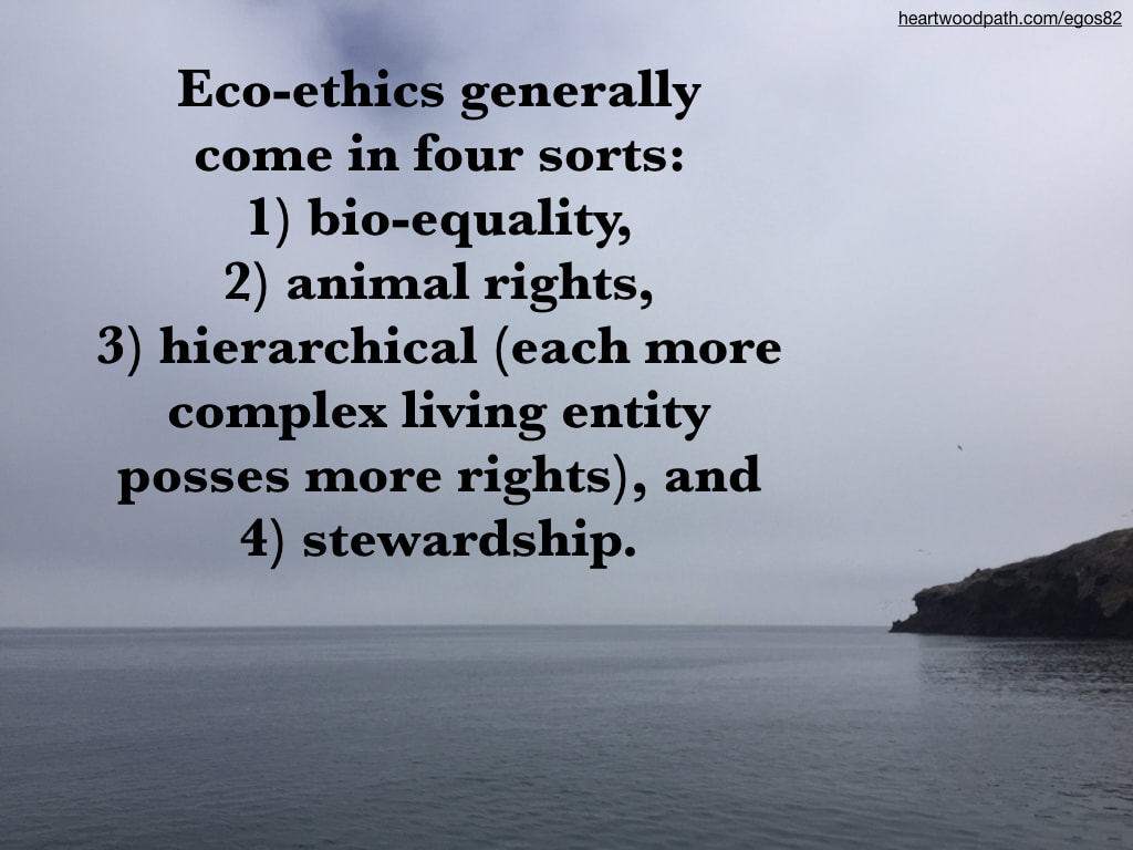 Picture ocean quote Eco-ethics generally come in four sorts: 1) bio-equality, 2) animal rights, 3) hierarchical (each more complex living entity posses more rights), and 4) stewardship.