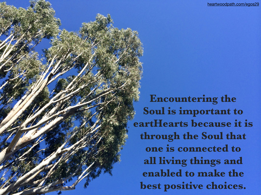 Picture tree sky quote Encountering the Soul is important to eartHearts because it is through the Soul that one is connected to all living things and enabled to make the best positive choices