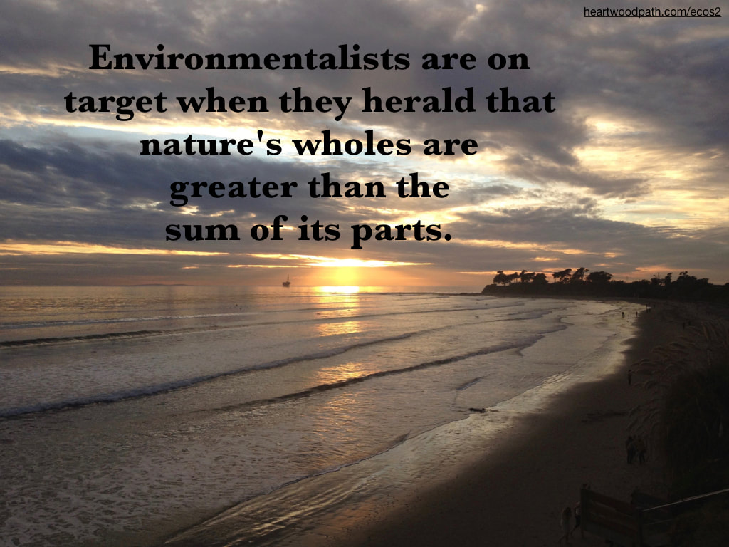 Picture sunset beach quote Environmentalists are on target when they herald that nature's wholes are greater than the sum of its parts