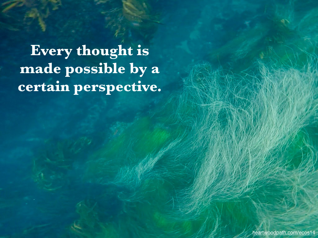 Picture underwater eel grass quote Every thought is made possible by a certain perspective