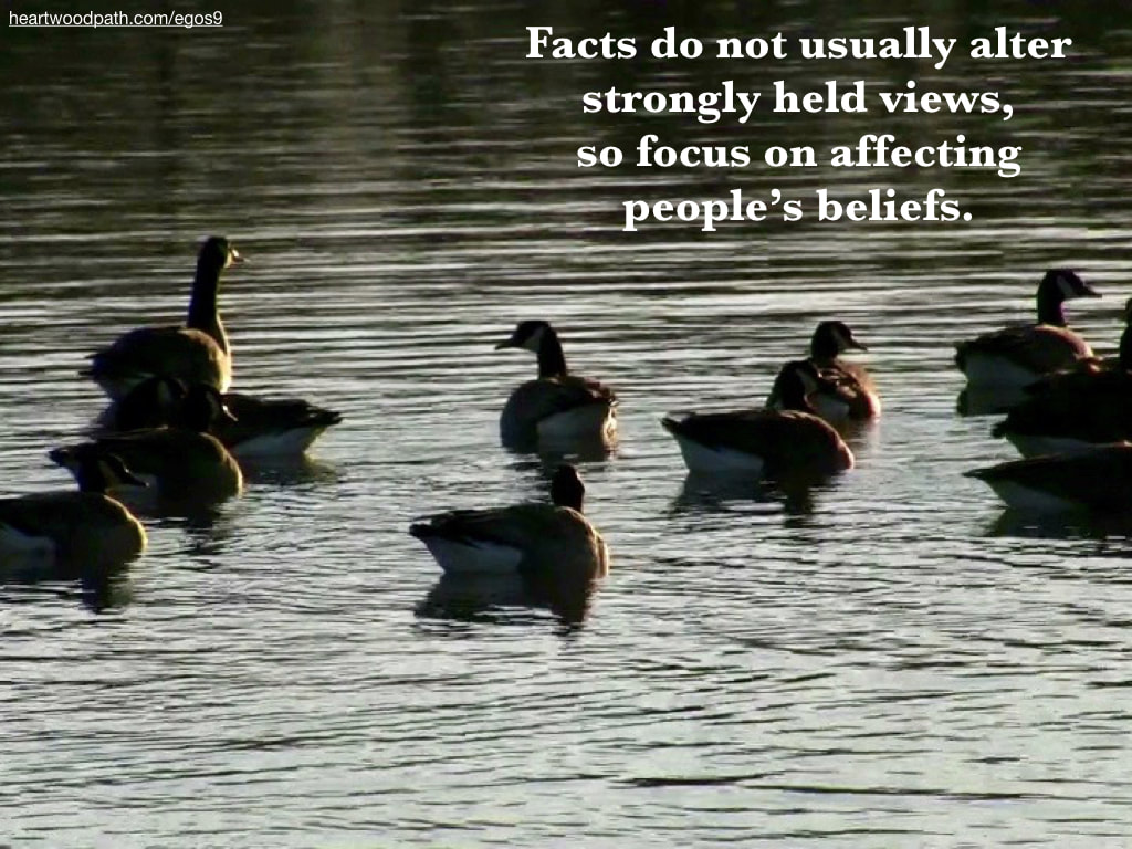 Picture ducks pond with quote Facts do not usually alter strongly held views, so focus on affecting people’s beliefs