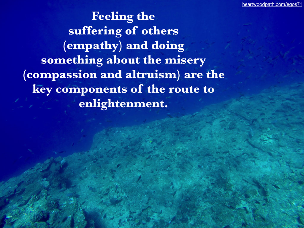 Picture coral reef underwater quote Feeling the suffering of others (empathy) and doing something about the misery (compassion and altruism) are the key components of the route to enlightenment