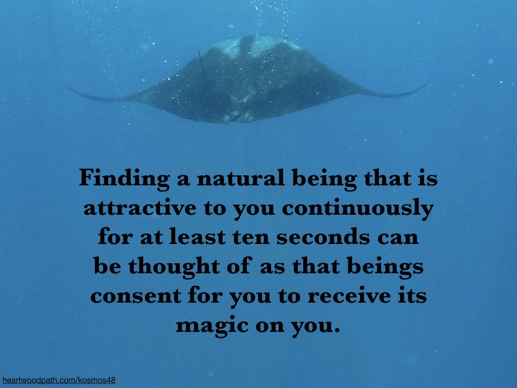 picture manta ray and words Finding a natural being that is attractive to you continuously for at least ten seconds can be thought of as that beings consent for you to receive its magic on you