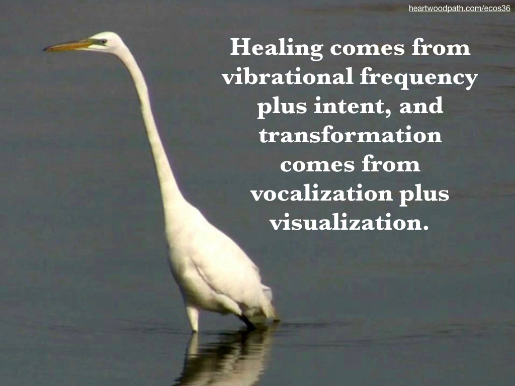 Picture white crane quote Healing comes from vibrational frequency plus intent, and transformation comes from vocalization plus visualization.