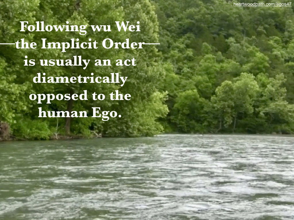 Picture green forest river quote Following wu Wei––the Implicit Order––is usually an act diametrically opposed to the human Ego