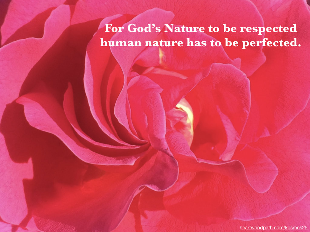 picture of rose and quote For God’s Nature to be respected human nature has to be perfected