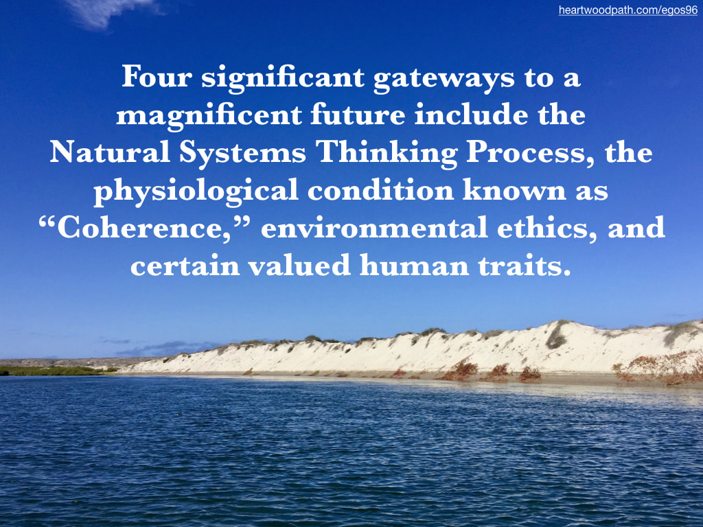 Picture sand dunes mangrove quote Four significant gateways to a magnificent future include the Natural Systems Thinking Process, the physiological condition known as “Coherence,” environmental ethics, and certain valued human traits.