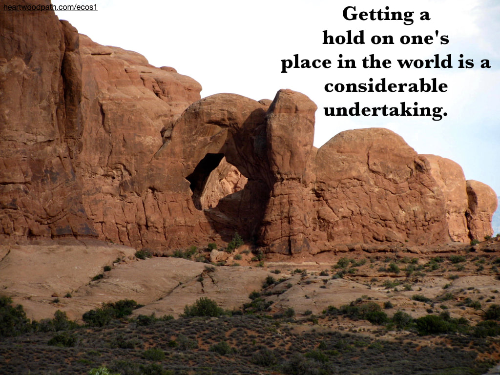 Picture red rock canyons quote Getting a hold on one's place in the world is a considerable undertaking