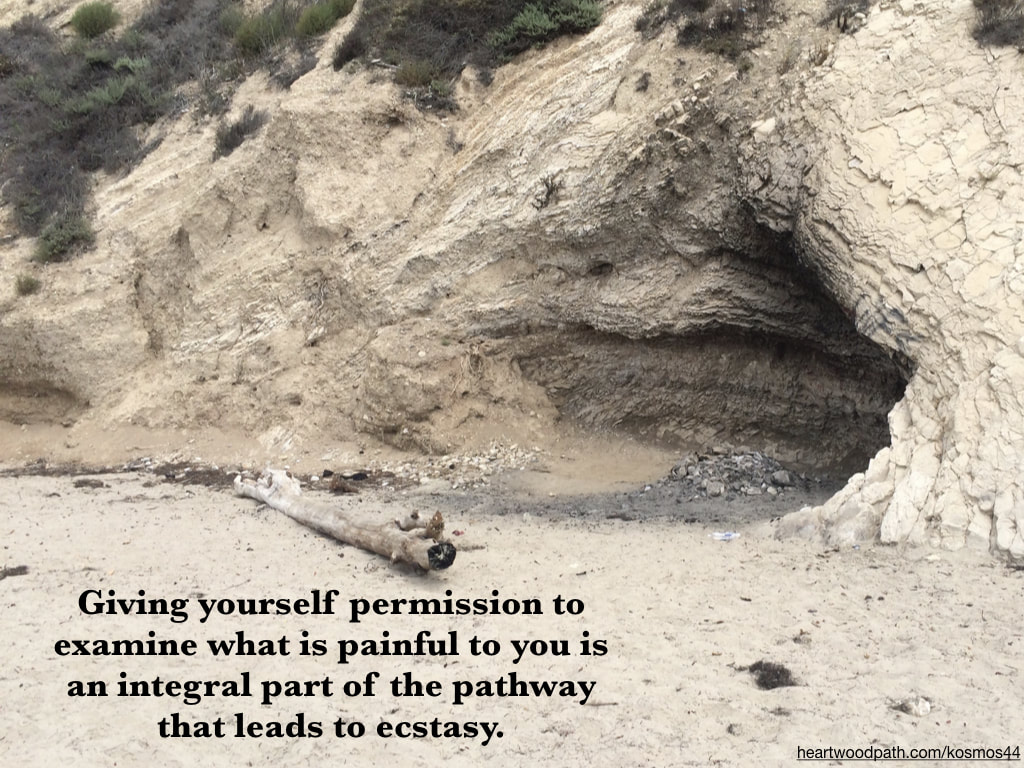Picture of rocky coast with words Giving yourself permission to examine what is painful to you is an integral part of the pathway that leads to ecstasy