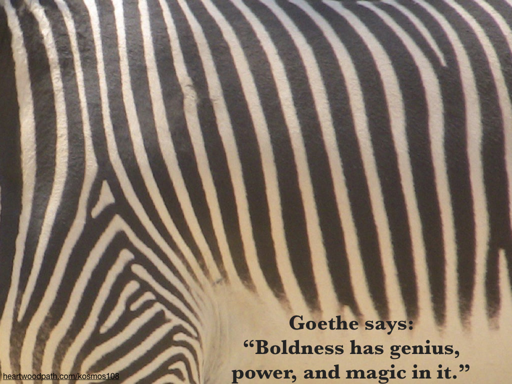 Picture zebra stripes with quote Goethe says: “Boldness has genius, power, and magic in it.”