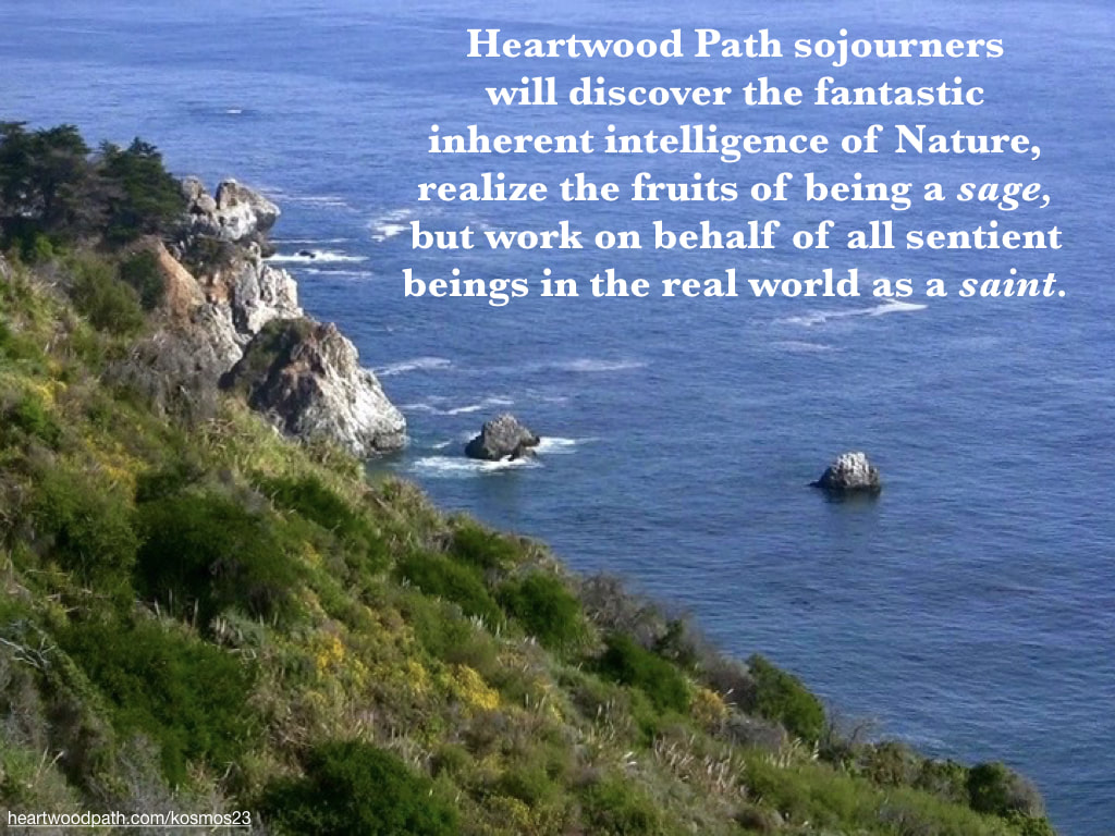 picture of ocean view and quote - Heartwood Path sojourners will discover the fantastic inherent intelligence of Nature, realize the fruits of being a sage, but work on behalf of all sentient beings in the real world as a saint