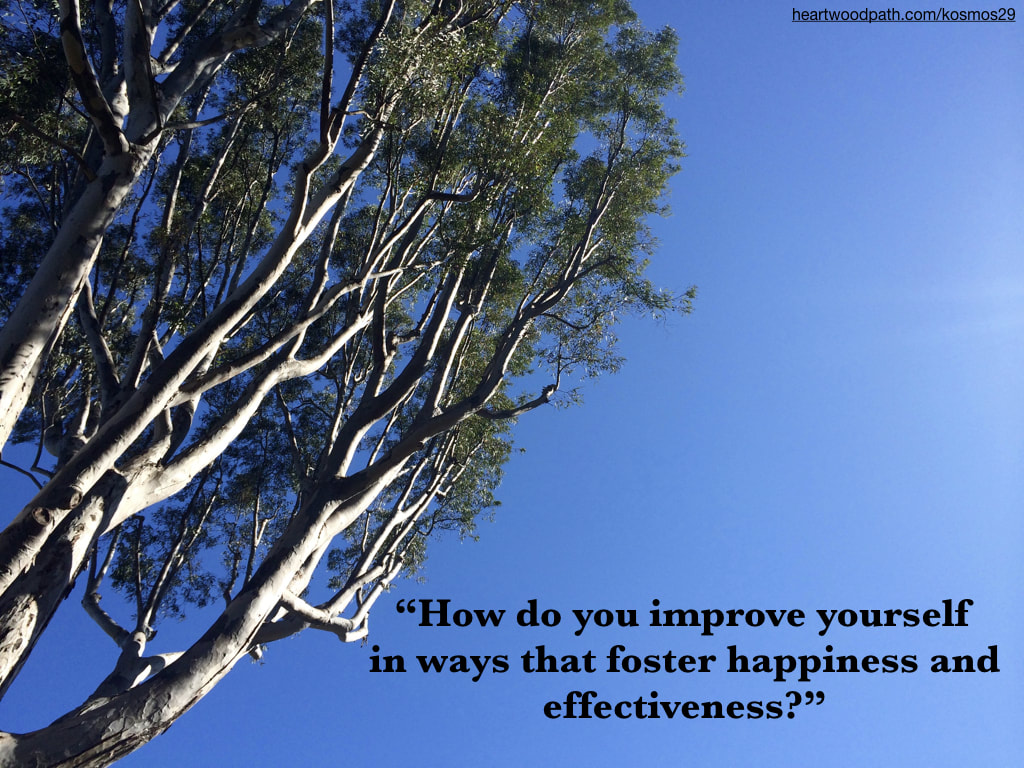 picture tree with quote How do you improve yourself in ways that foster happiness and effectiveness