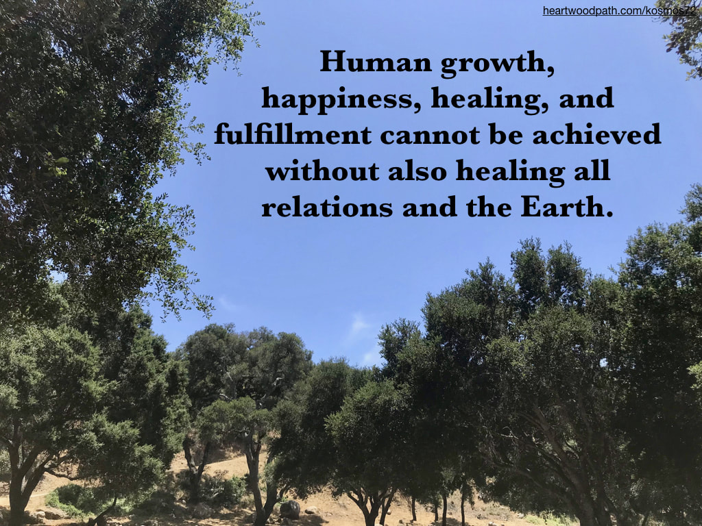 Picture oak forest with words - Human growth, happiness, healing, and fulfillment cannot be achieved without also healing all relations and the Earth