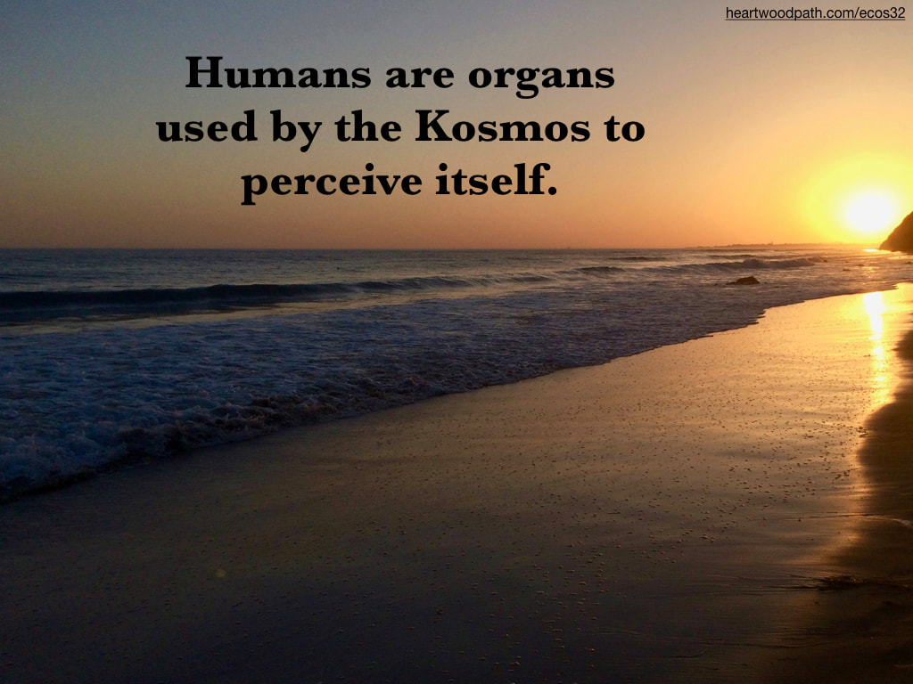 picture sunset beach quote Humans are organs used by the Kosmos to perceive itself
