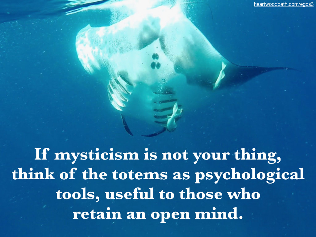 Picture manta ray quote If mysticism is not your thing, think of the totems as psychological tools, useful to those who retain an open mind