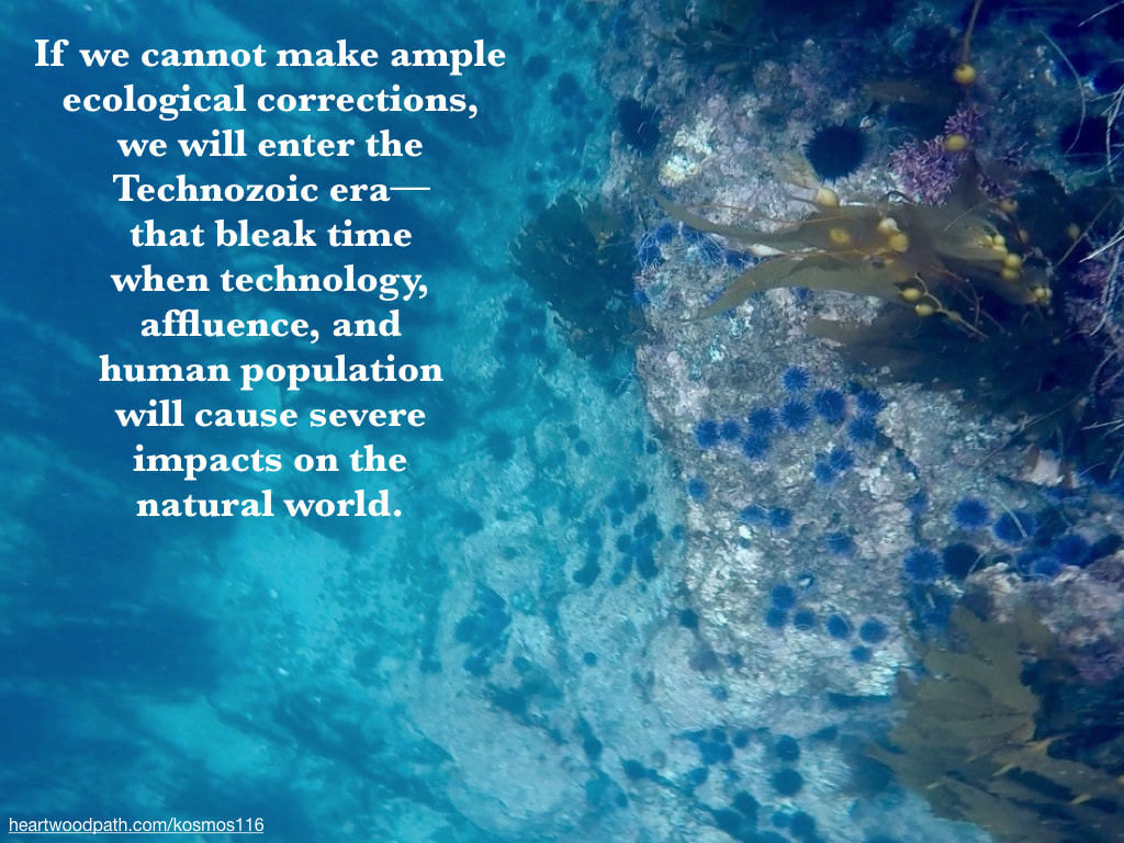 Picture underwater urchin quote If we cannot make ample ecological corrections, we will enter the Technozoic era--that bleak time when technology, affluence, and human population will cause severe impacts on the natural world