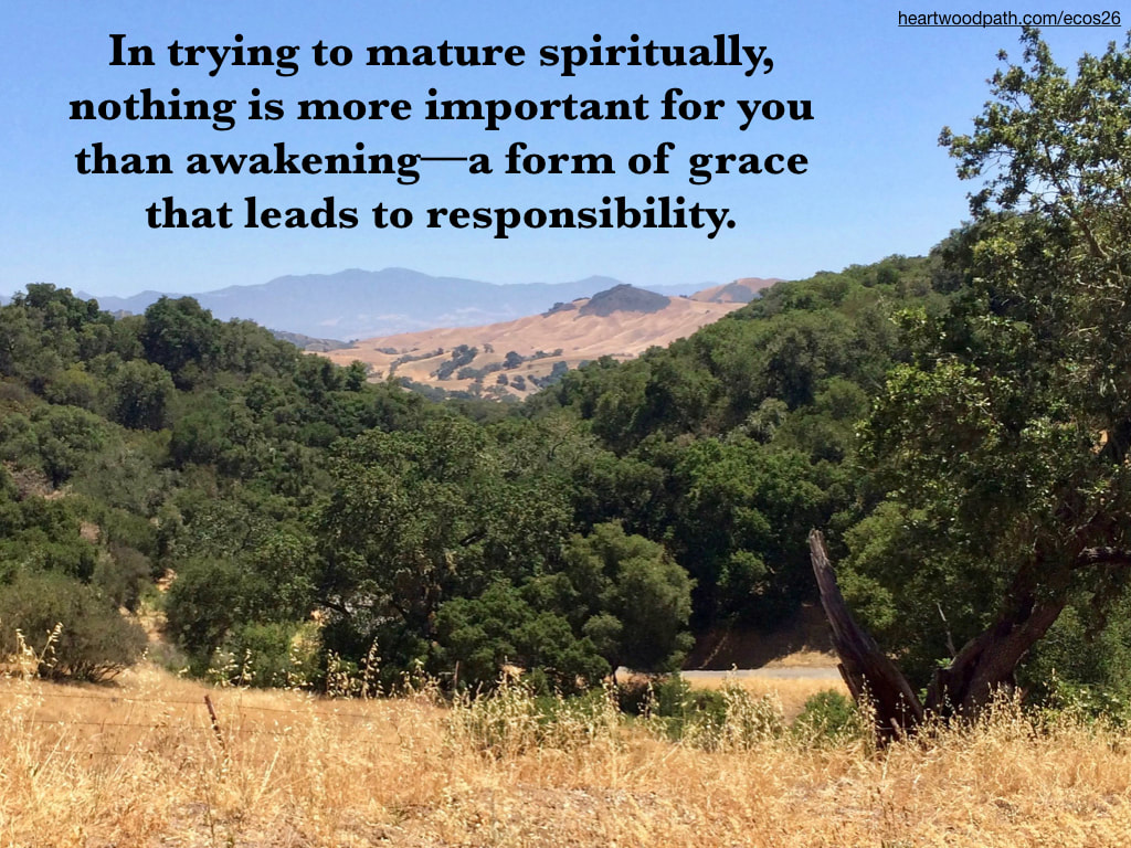 Picture green trees yellow grasses mountain quote In trying to mature spiritually, nothing is more important for you than awakening––a form of grace that leads to responsibility