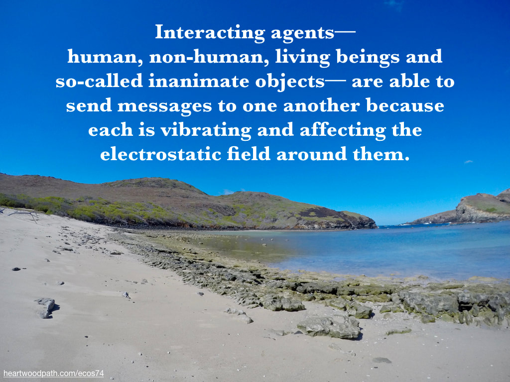 Picture beach cove quote Interacting agents––human, non-human, living beings and so-called inanimate objects–– are able to send messages to one another because each is vibrating and affecting the electrostatic field around them