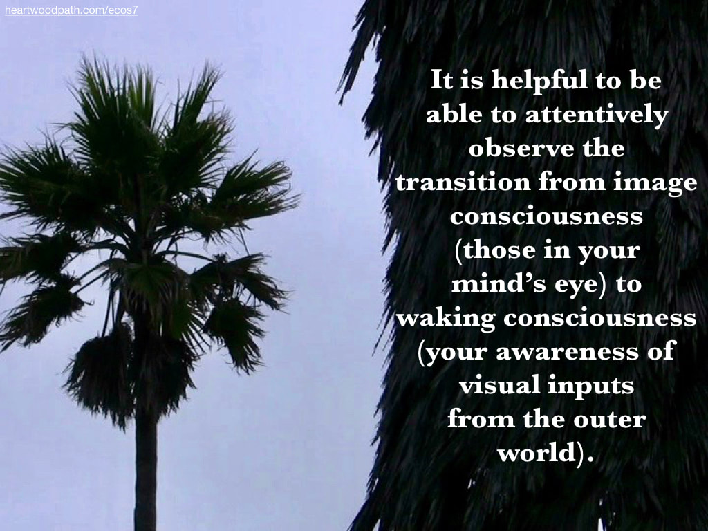 Picture palm trees quote It is helpful to be able to attentively observe the transition from image consciousness (those in your mind’s eye) to waking consciousness (your awareness of visual inputs from the outer world)