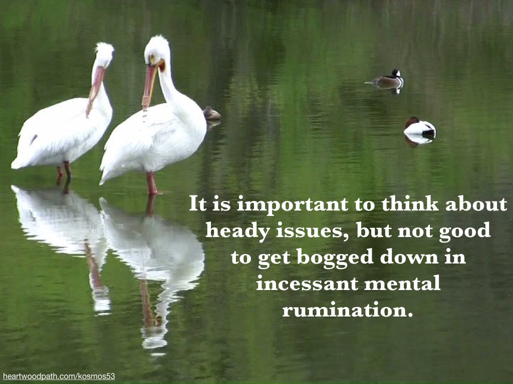 Picture white birds in lake with words - It is important to think about heady issues, but not good to get bogged down in incessant mental rumination