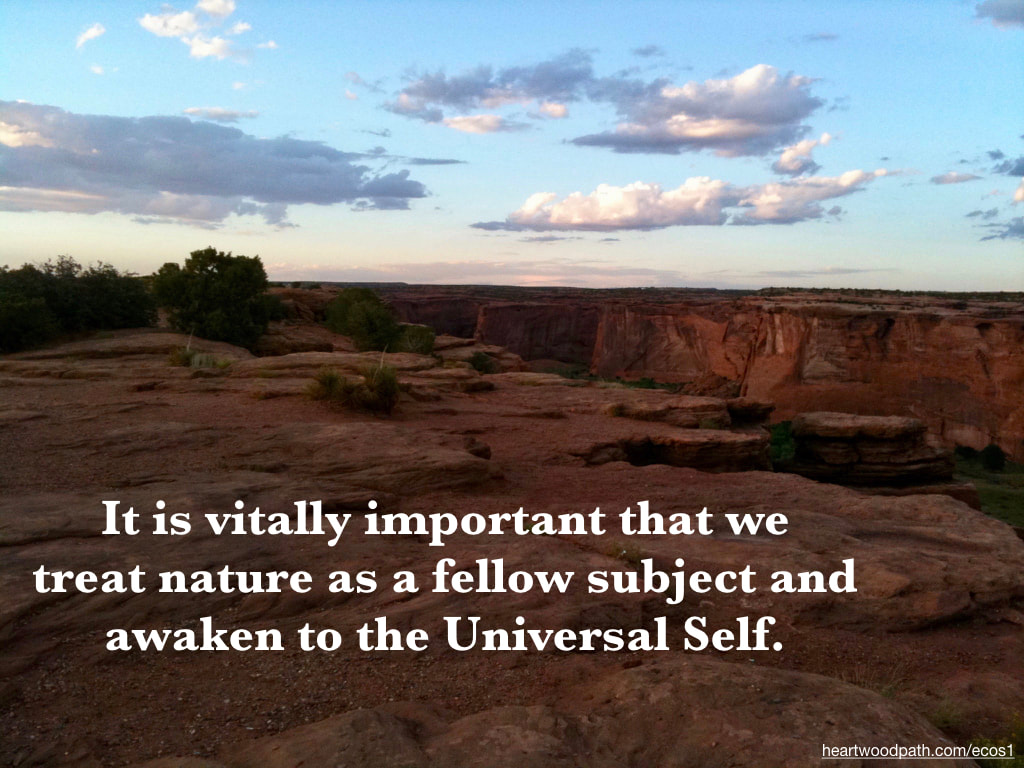 Picture red desert canyon quote It is vitally important that we treat nature as a fellow subject and awaken to the Universal Self