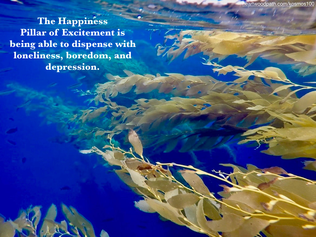 Picture seaweed underwater fish quote The Happiness Pillar of Excitement is being able to dispense with loneliness, boredom, and depression.