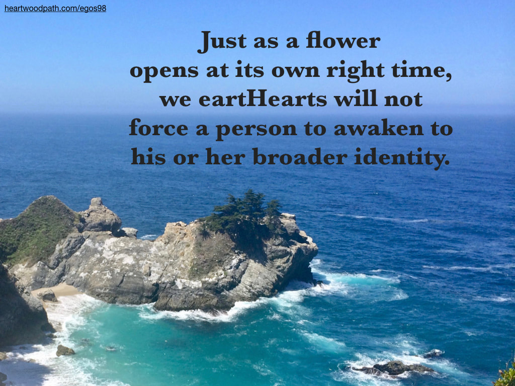Picture big sur california ocean quote Just as a flower opens at its own right time, we eartHearts will not force a person to awaken to his or her broader identity.