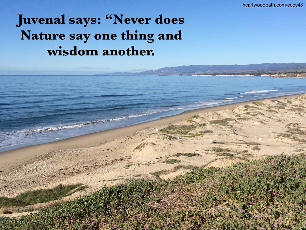 Picture sand dunes ocean coast line quote Juvenal says: “Never does Nature say one thing and wisdom another