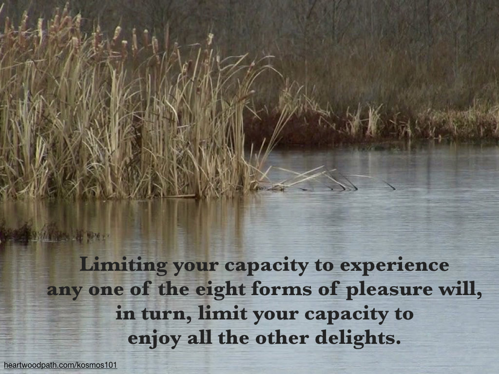 Picture river bank with quote Limiting your capacity to experience any one of the eight forms of pleasure will, in turn, limit your capacity to enjoy all the other delights