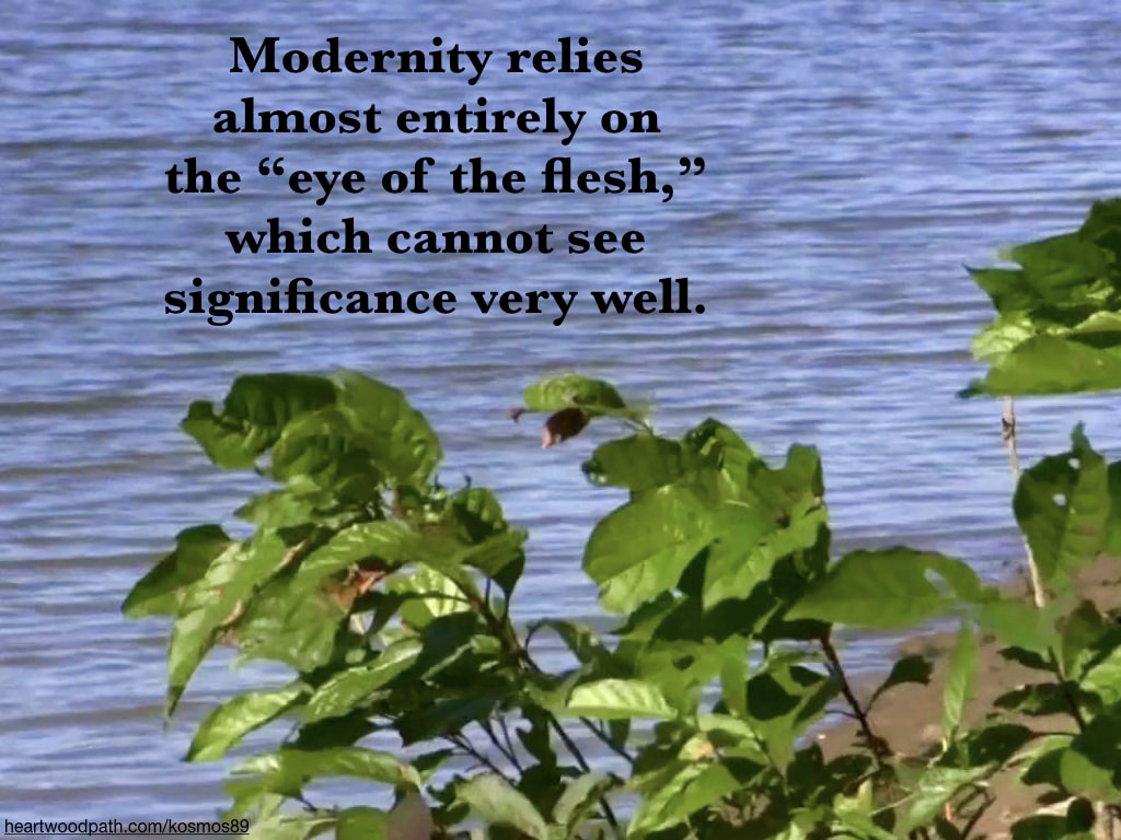 Picture tree along river with words Modernity relies almost entirely on the “eye of the flesh,” which cannot see significance very well