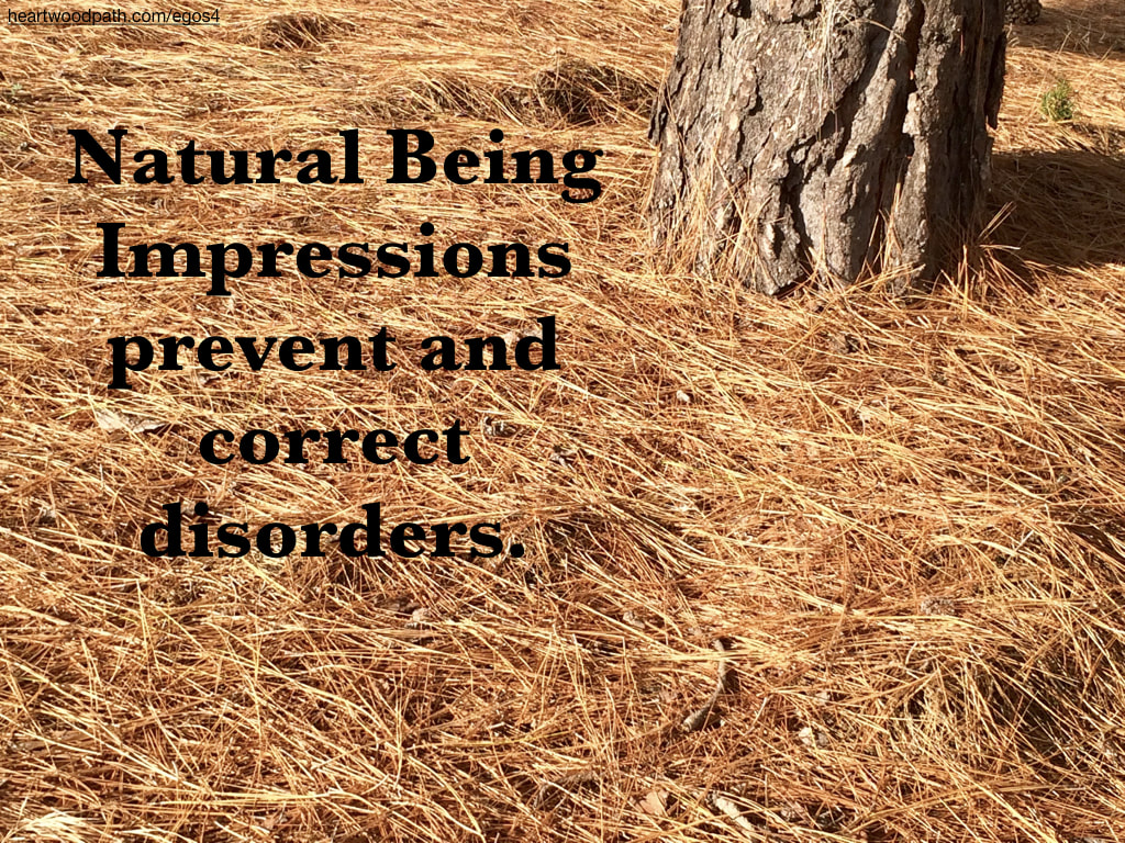 Picture pine needles quote Natural Being Impressions prevent and correct disorders