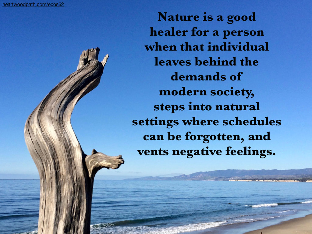 Picture tree ocean quote Nature is a good healer for a person when that individual leaves behind the demands of modern society, steps into natural settings where schedules can be forgotten, and vents negative feelings