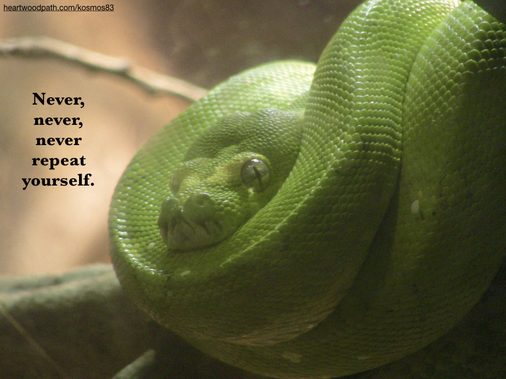 Picture green snake with quote Never, never, never repeat yourself.