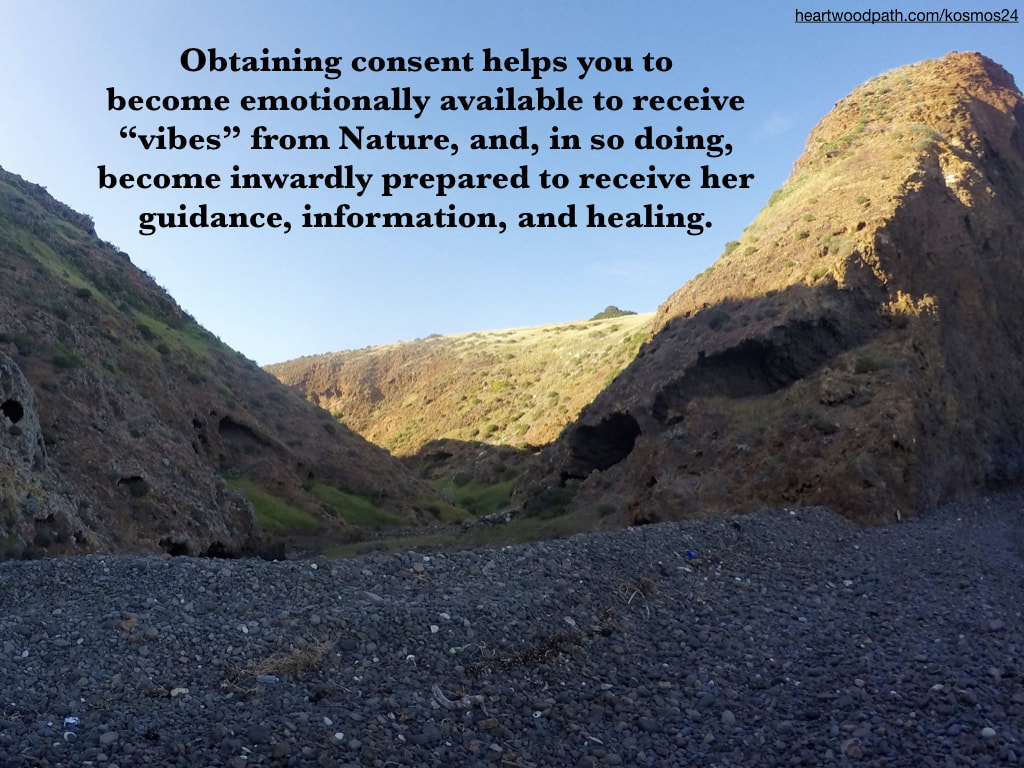 picture of rocky beach and quote Obtaining consent helps you to become emotionally available to receive “vibes” from Nature, and, in so doing, become inwardly prepared to receive her guidance, information, and healing