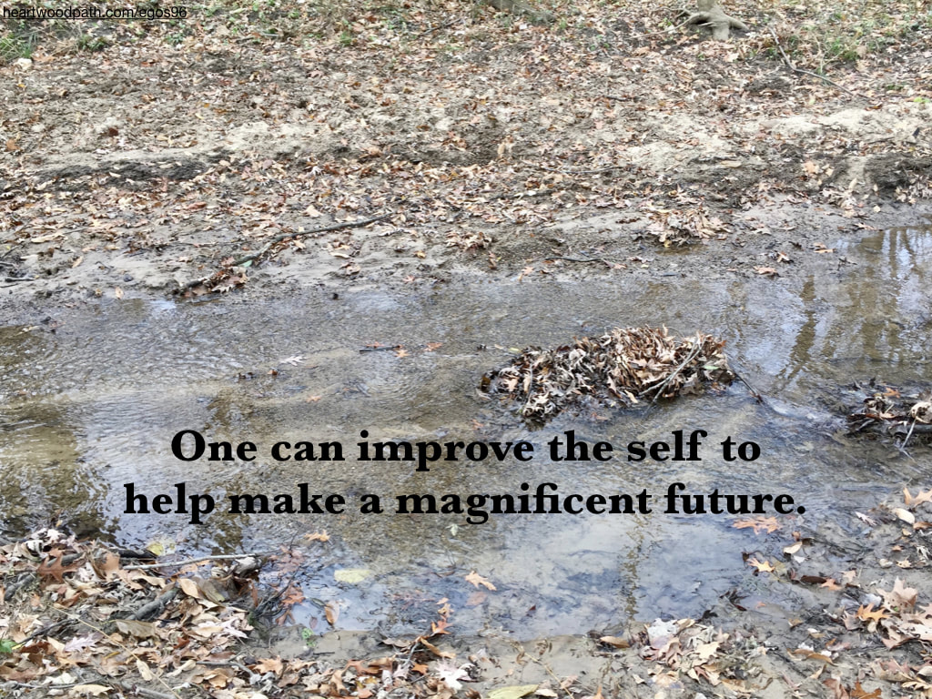Picture leaves creek quote One can improve the self to help make a magnificent future