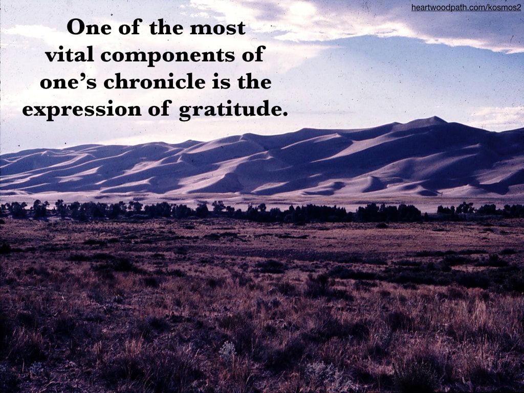 picture of sand dunes with quote One of the most vital components of one’s chronicle is the expression of gratitude