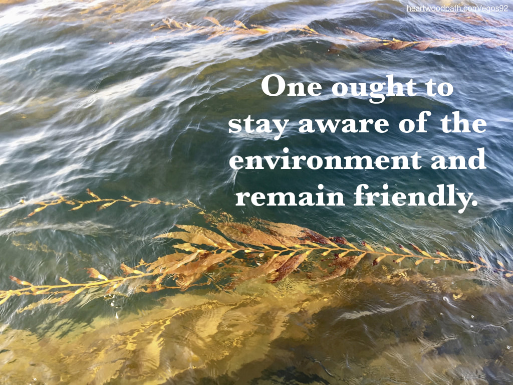Picture yellow kelp ocean quote One ought to stay aware of the environment and remain friendly