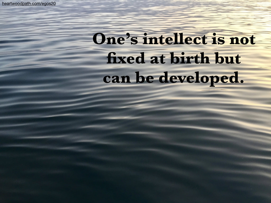 Picture glassy ocean quote One’s intellect is not fixed at birth but can be developed