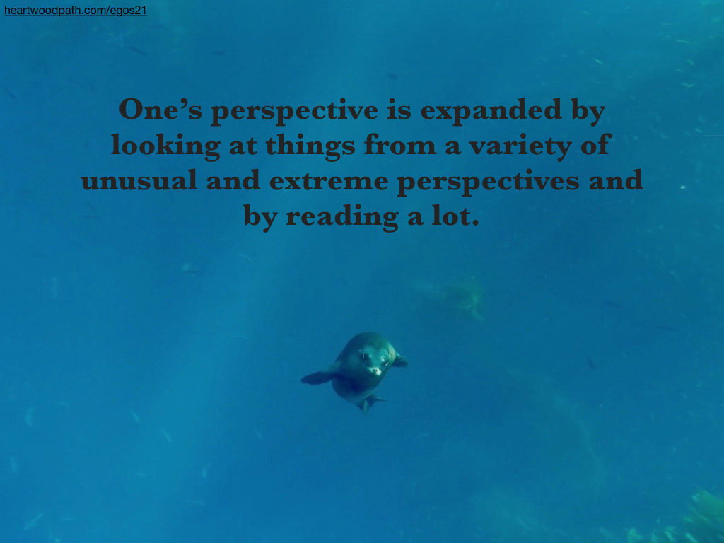 Picture sea lion underwater quote One’s perspective is expanded by looking at things from a variety of unusual and extreme perspectives and by reading a lot