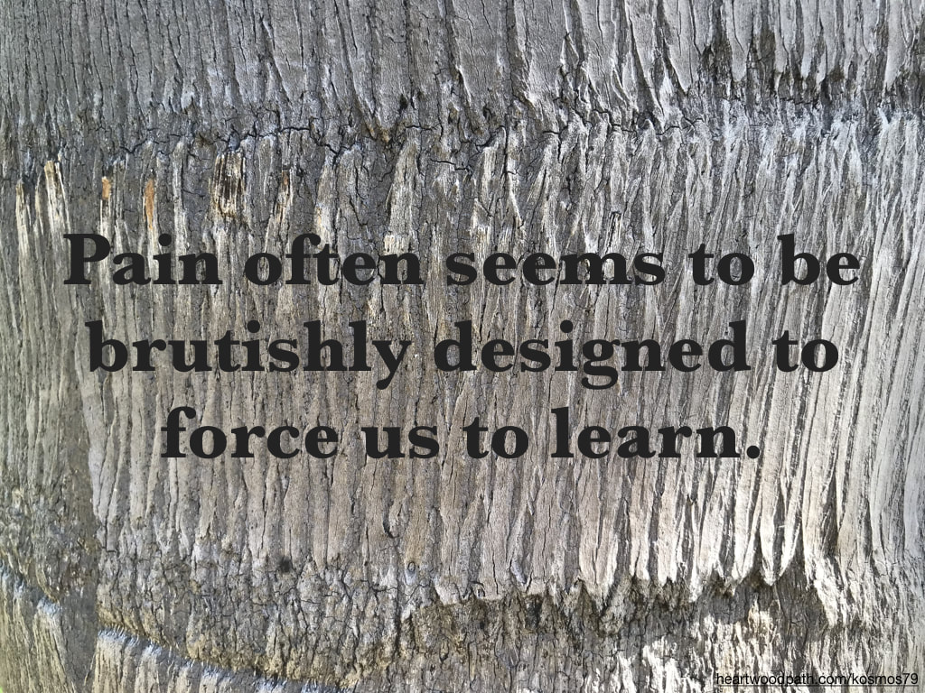 Picture tree bark with quote Pain often seems to be brutishly designed to force us to learn