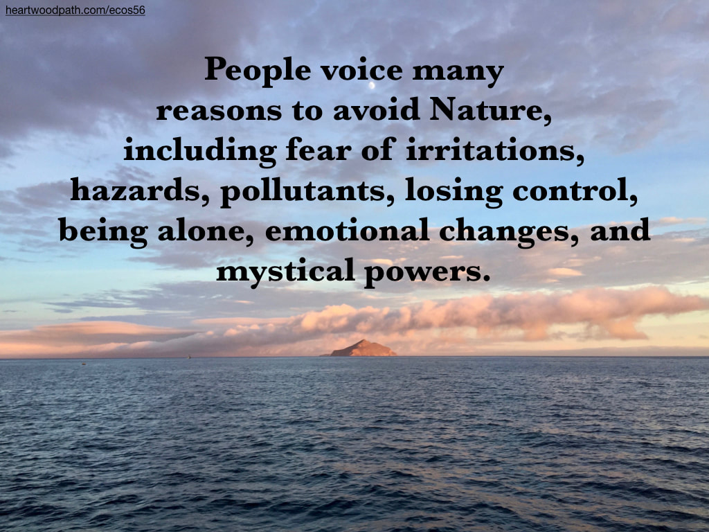 Picture island glowing in sunset ocean quote People voice many reasons to avoid Nature, including fear of irritations, hazards, pollutants, losing control, being alone, emotional changes, and mystical powers