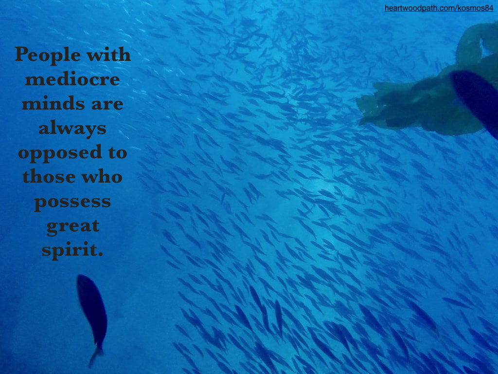 Picture underwater fish with quote People with mediocre minds are always opposed to those who possess great spirit