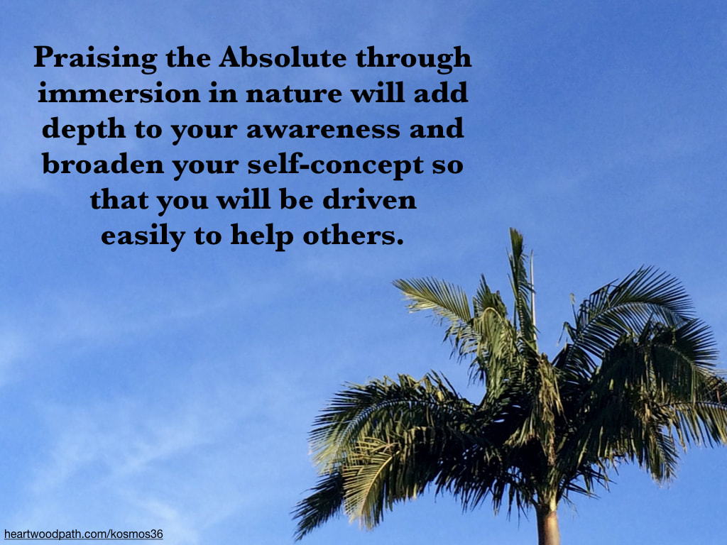 picture of palm tree and sky with quote