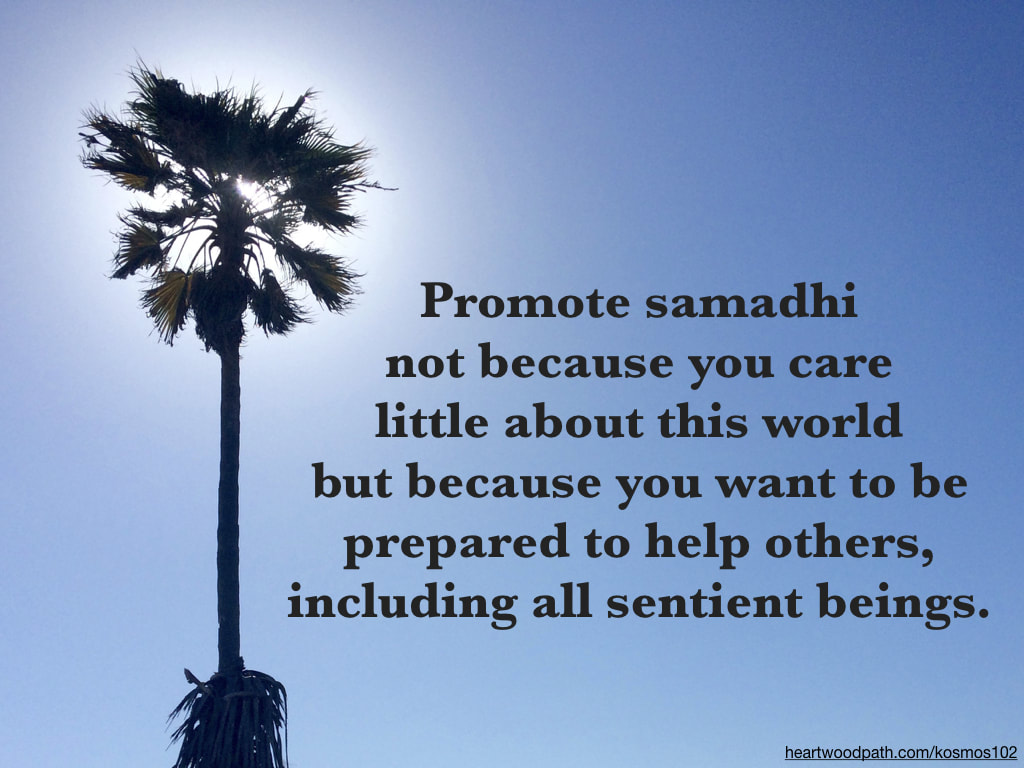 Picture palm tree with quote Promote samadhi not because you care little about this world but because you want to be prepared to help others, including all sentient beings
