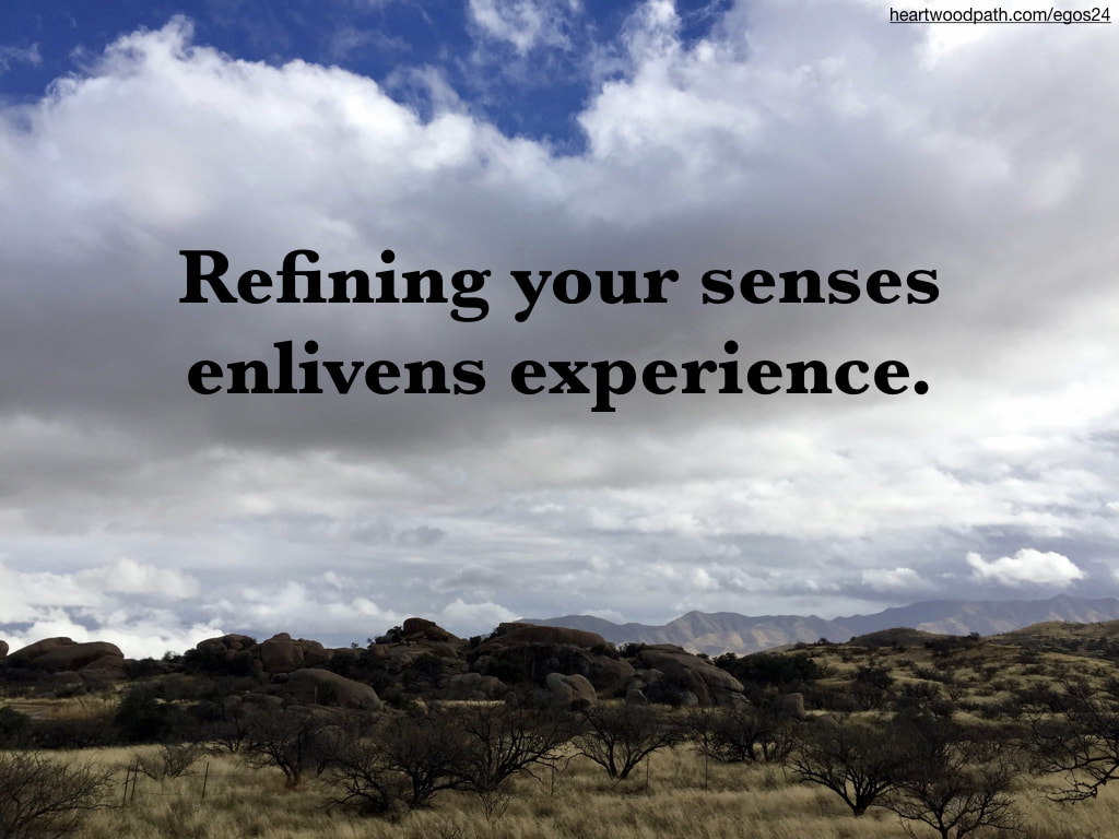 Picture stormy field quote Refining your senses enlivens experience