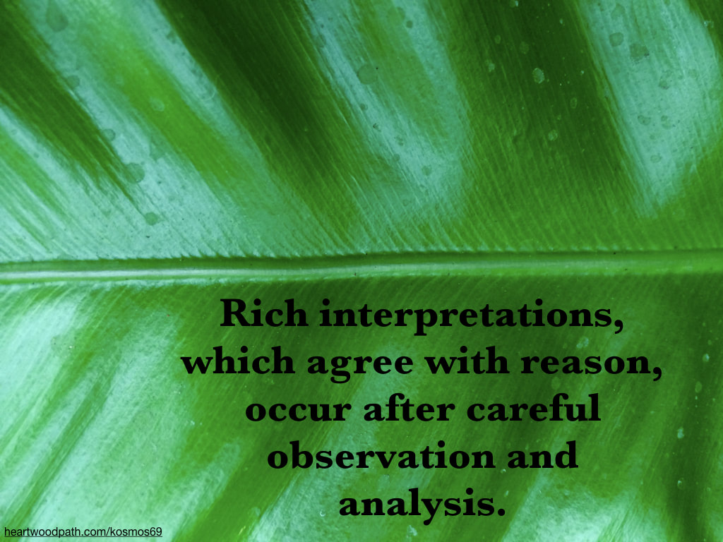 Picture green leaf with words - Rich interpretations, which agree with reason, occur after careful observation and analysis