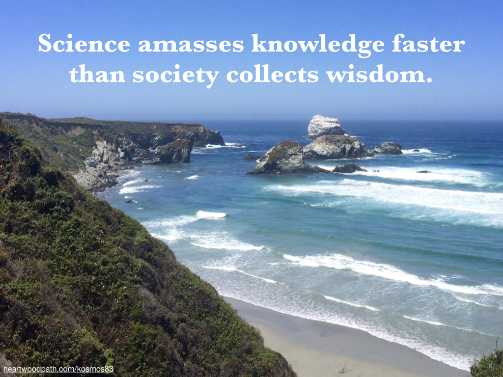 Picture big sur california with quote Science amasses knowledge faster than society collects wisdom