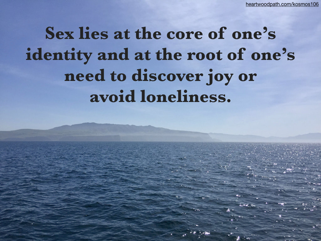 Picture island from glittery ocean with quote Sex lies at the core of one’s identity and at the root of one’s need to discover joy or avoid loneliness